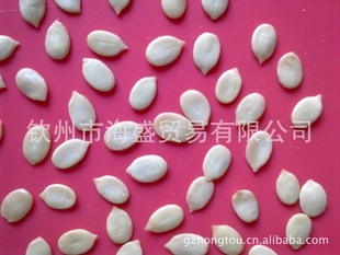 ±ϡ(7-8cm)ڹ(½ǿȾ