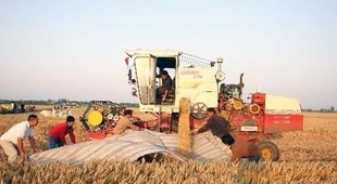 ѡ6.0-7.0mmʺڶ