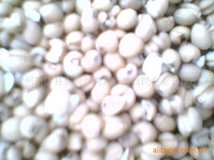 ݱ̺95޲
