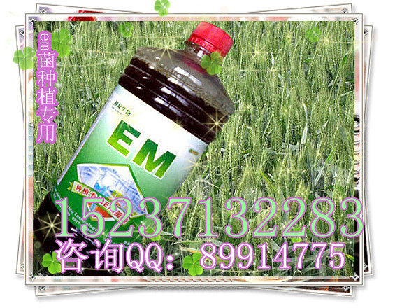 emֲӦã湦ЧemԭҺ