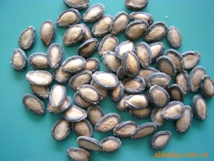 ڼ11CM½ڹӣѡѡ