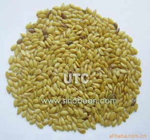 ӪʳƷʳƷLINSEED