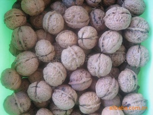 ͨ2010ڼƤϺҹ