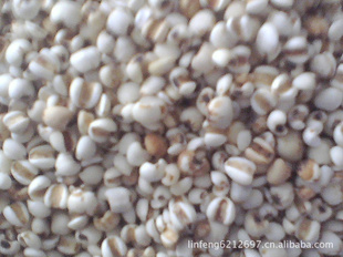ݸԭ޲ף95%