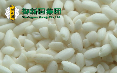 黏黏相伴传情糯米