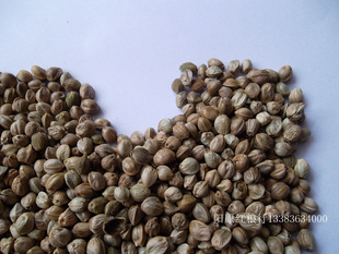 Сӣ5.5£
