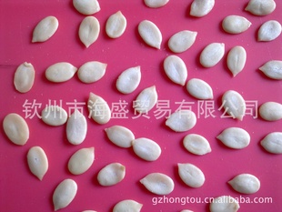 ±ϡڹ(7-8cm)(½Ⱦ