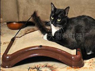 trimmingcats'claws(ͼ)