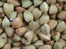 ڼƷز,