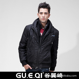 2012GUEQIGQ11-0197