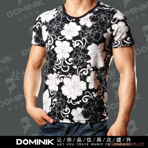 DOMINIK˶MHC2208