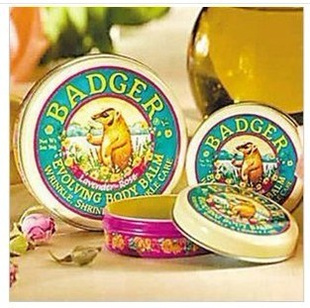 BadgerǲƷõո21g