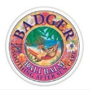 Badger⵰嵺ȼٸ21g-ɹ޸