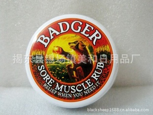 Badger⵷21g滺༡ʹ