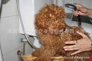 ֱͰװɢװԡҺDOG㲨Һ