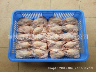 루6-8