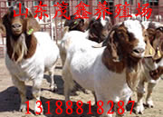 2012۸ֳɽïֳ
