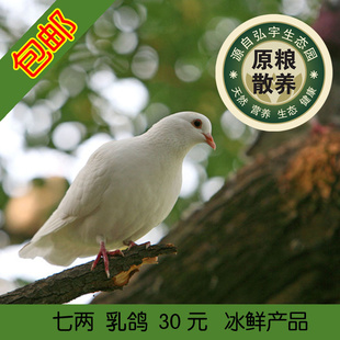 ԭιʰ뾻7ʰ