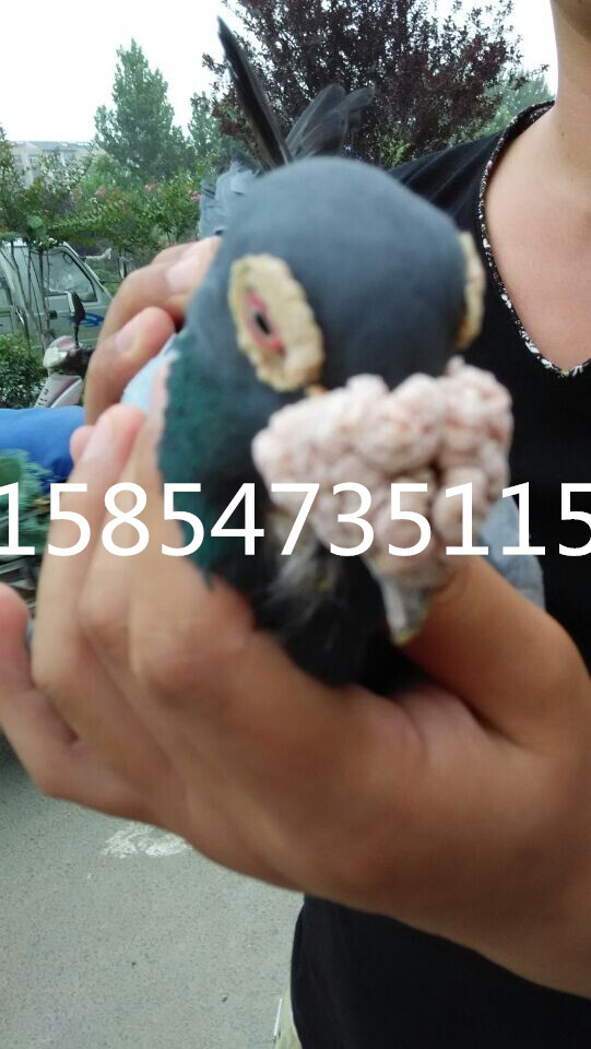 ³ľŮӸƹڸг۸