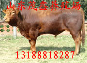 ţ۸ţֳɽïֳ