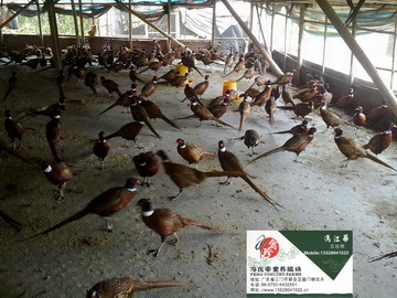 㶫ɽ硢ɽ硢ɽ硢