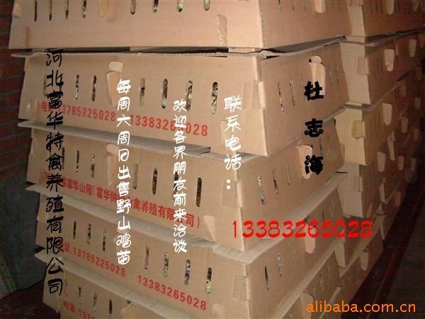 Ұɽϵ13383265028