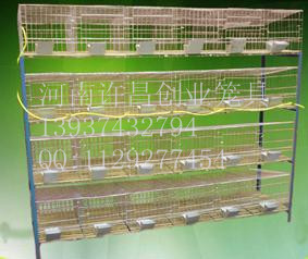 24λƷ