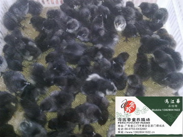 ̿Ǽ硢̿Ǽ硢̿Ǽ