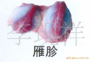 طζʳƷ/Ũ