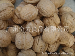 ڻȫԶž侭̲
