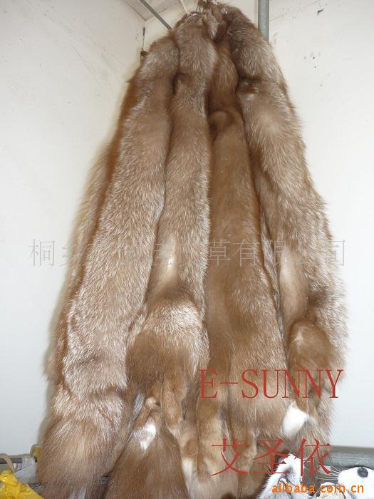 红狐皮GJYP-09-13