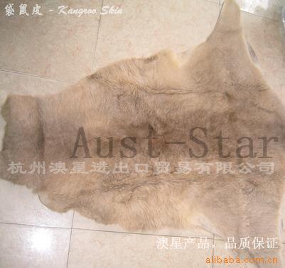 ƤKangarooLeather