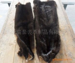 整貂皮、水貂皮价廉
