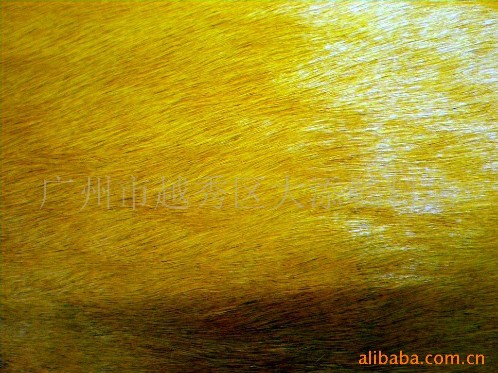 马毛2