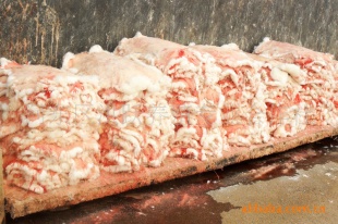 ̡ƤŻݡӭ