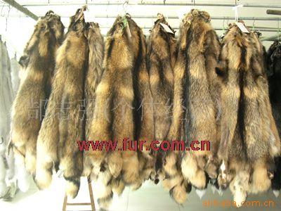 狐狸皮,貉子皮,貉子肉,狐狸肉