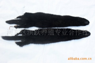 ӭ硢ˮƤ
