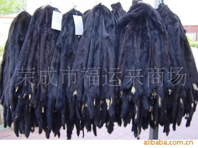 水貂皮狐狸皮貉子皮