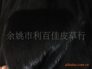 2011ƷһִȾˮĸƤ----4