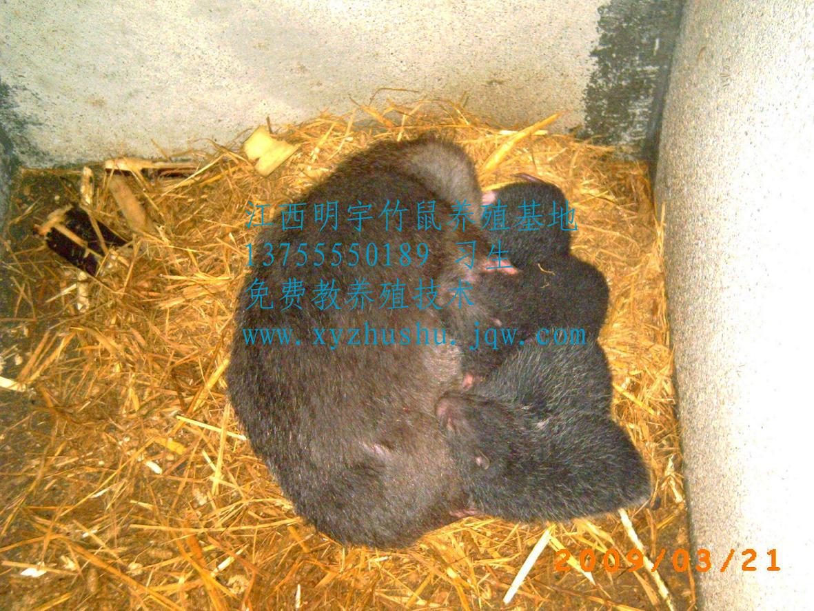 ۸|۸