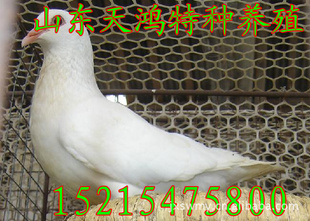 Ҫָ뿪ָ
