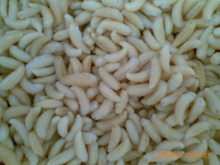 䶳ӼУ