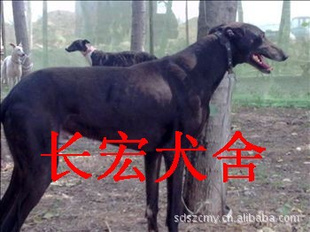 ȮȮȮȮȮ