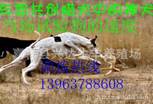 ȫȮȮ̻ݱȮȮȮ