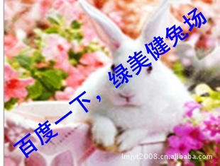 ֳ˹ھ