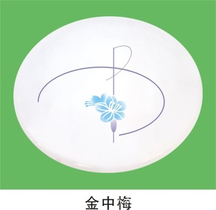 永恒灯饰各款式亚克力塑料红吸顶灯(图)