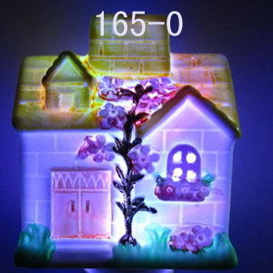 ߲СҹƱ165-0