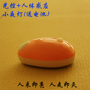 ͷСҹƹӦƷƳƷ