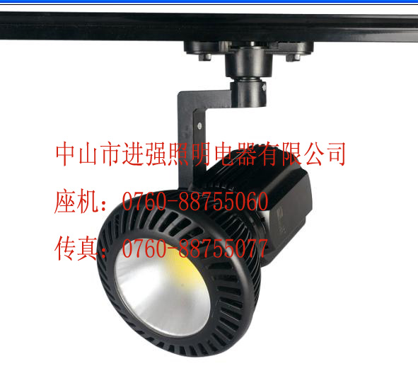 环黑双齿20WLED轨道灯系列
