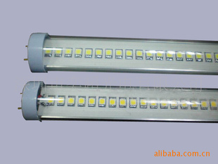 LEDչT10չT8չչLED
